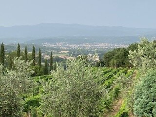 AGRITURISMO SAVERNANO - Updated 2024 Prices & B&B Reviews (Tuscany ...