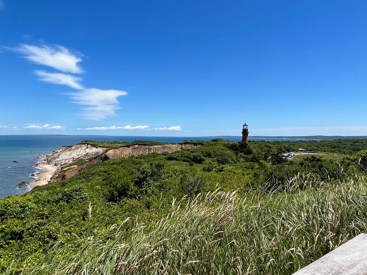 Oak Bluffs Land and Wharf Co. Tours All You Need to Know BEFORE You Go