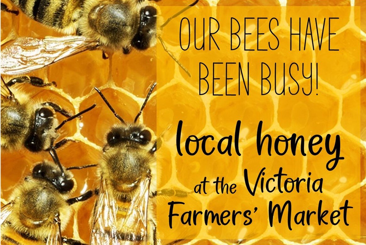 THE 15 BEST Things To Do In Victoria Updated 2024 Tripadvisor   Local Honey Straight 