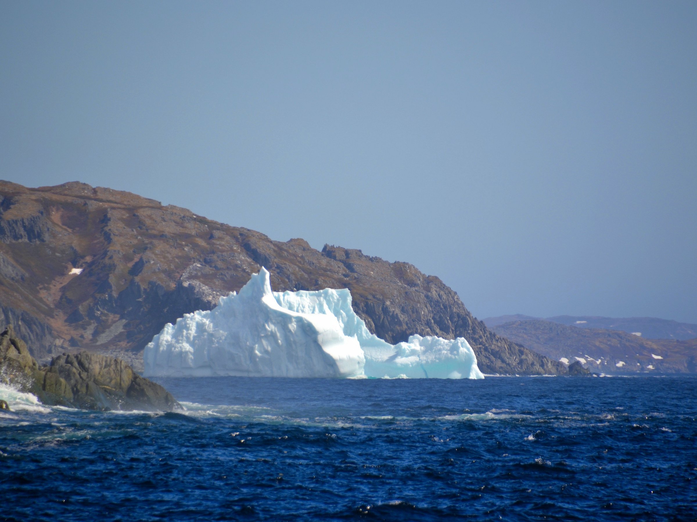 northland discovery boat tours st anthony nl