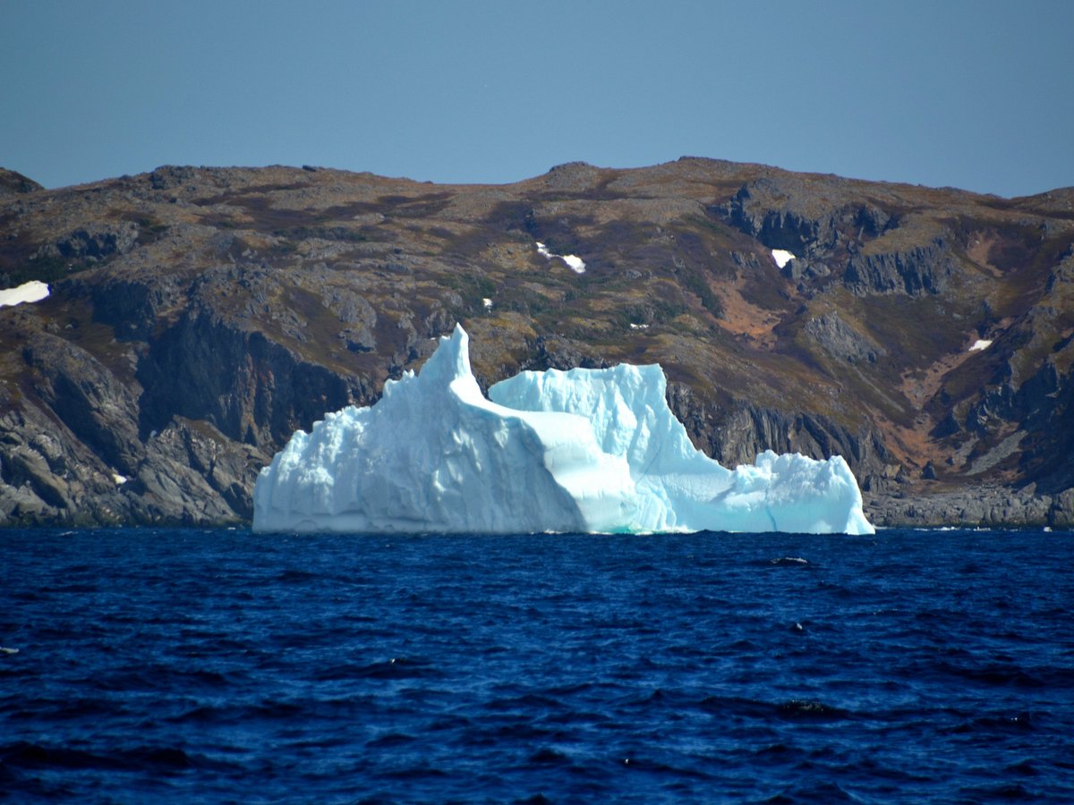 senior discovery tours newfoundland reviews