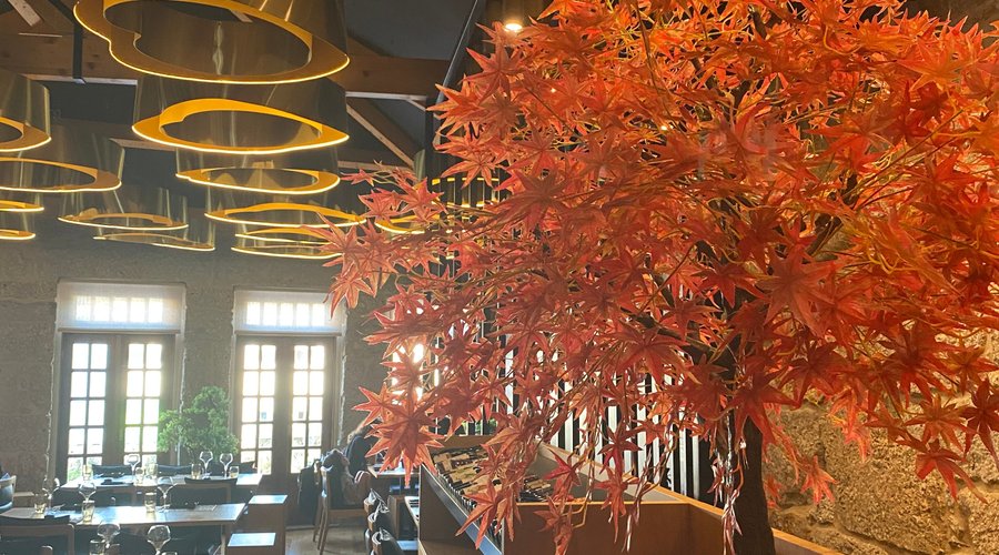 Suki Sushi Restaurante, 페나피엘 - 레스토랑 리뷰 - 트립어드바이저