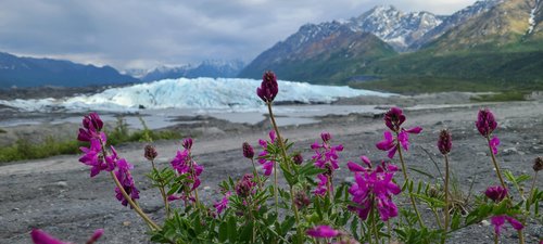 Glacier View review images
