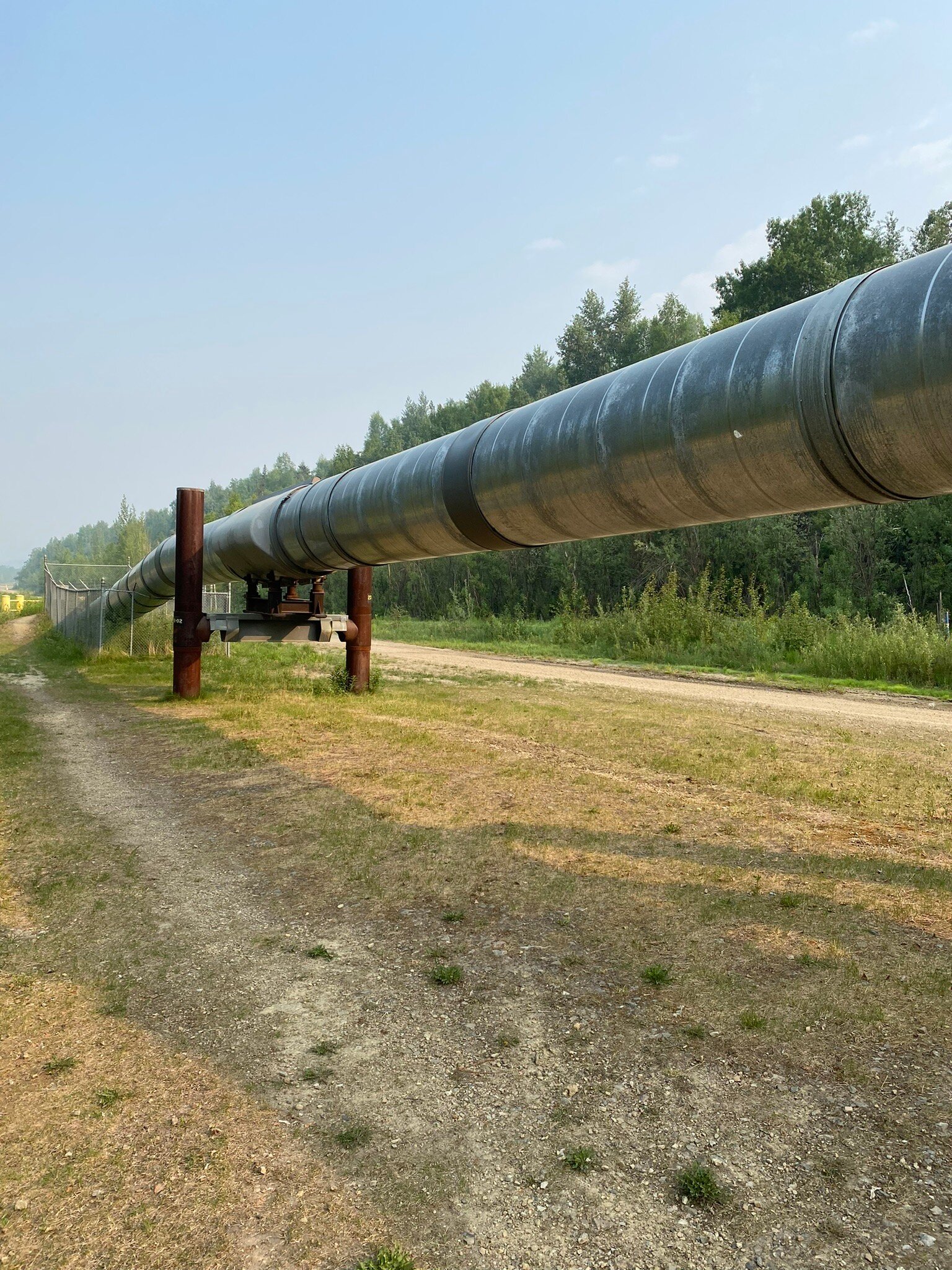 Alaskan Pipeline Condom