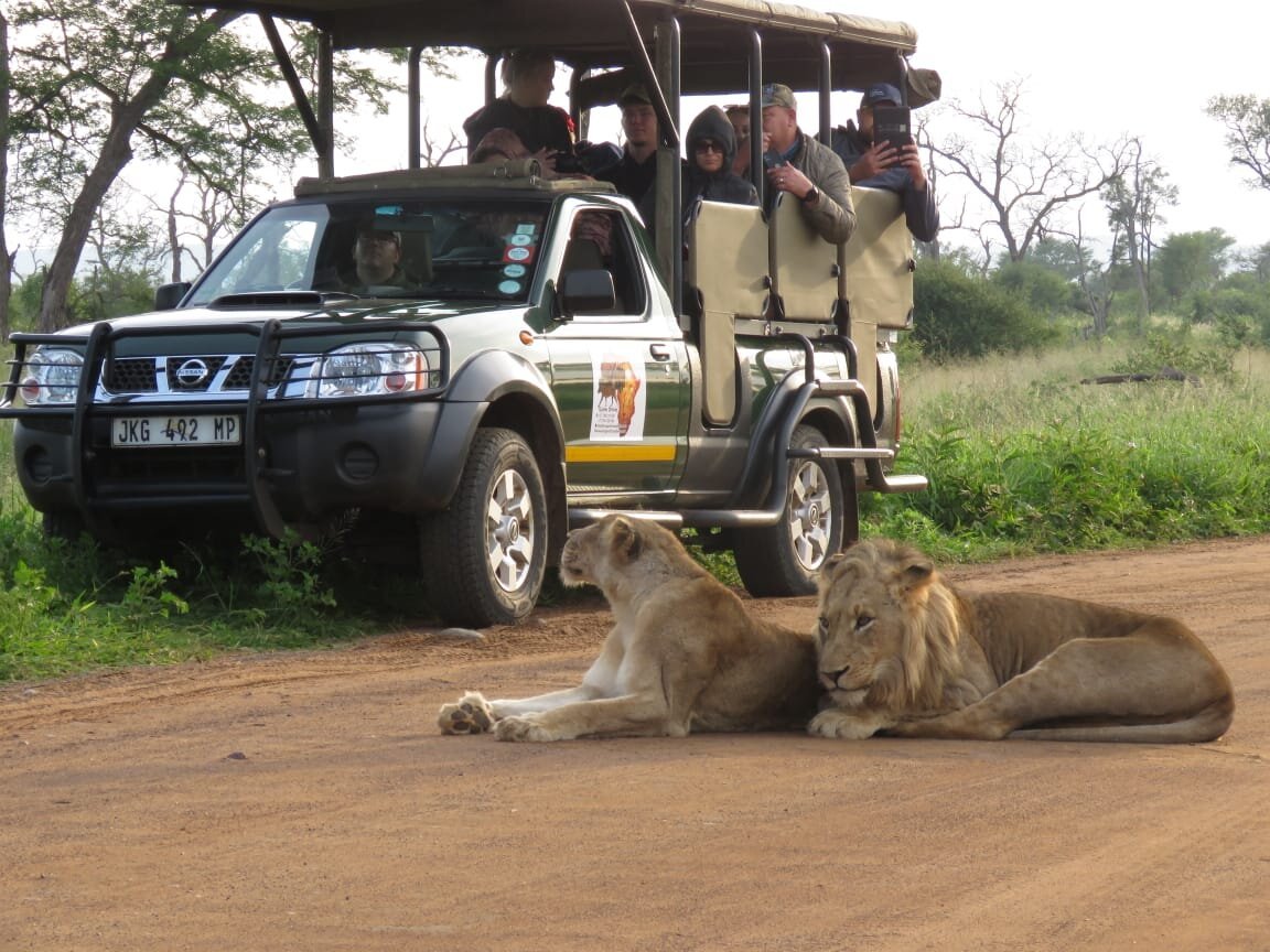 Kruger park safaris