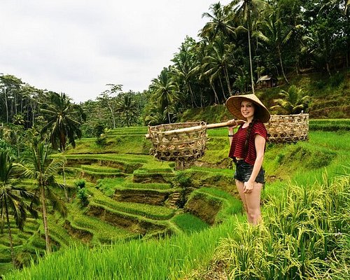 best tour to see bali