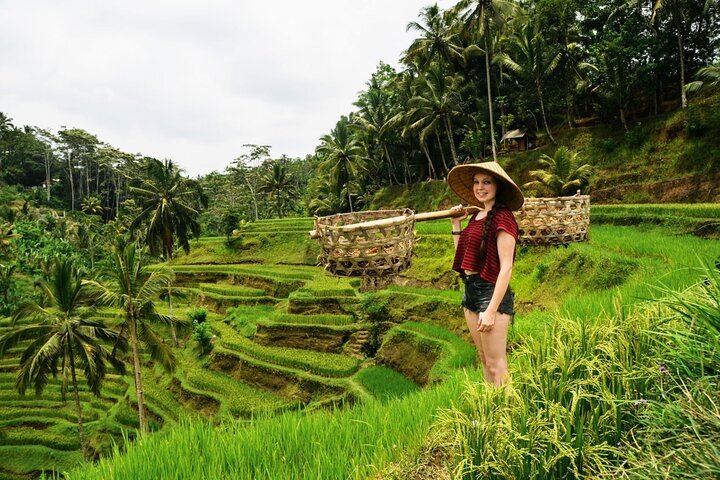 Temple,　2023　Rice　Terrace　Ubud:　Villages　Best　Monkey　Waterfall,　of　Forest,　Art
