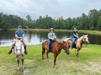 Desperado Horse Farm (Rocky Point) - All You Need to Know BEFORE You Go