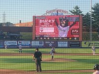 READING FIGHTIN PHILS - 32 Photos & 38 Reviews - 1900 Centre Ave