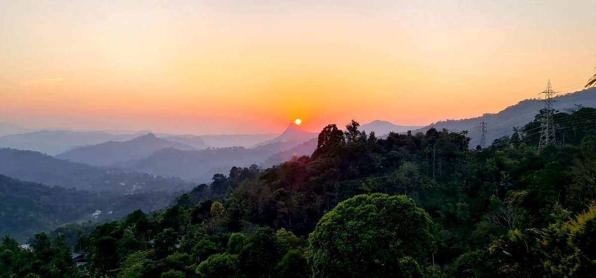 top-5-munnar-tea-estates-that-are-a-must-visit-for-all-munnar-insider