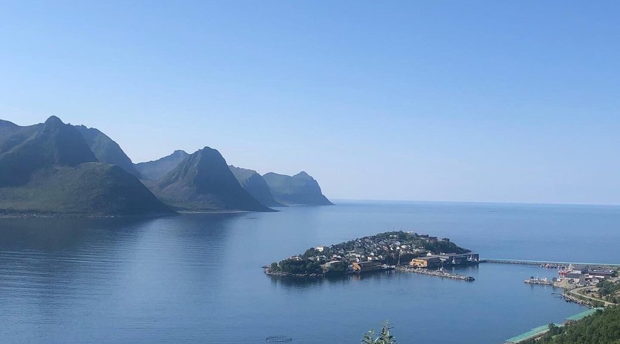 Eksotiske Husøy.