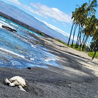 kelo hawaii trip