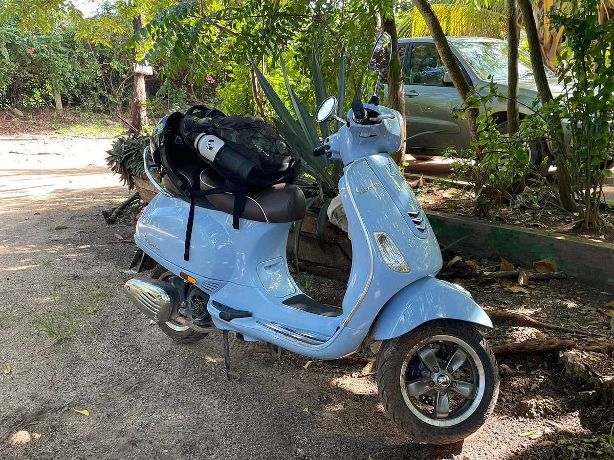 Zanzibar Funky Scooter Rental (Kiembi Samaki) - All You Need to You Go