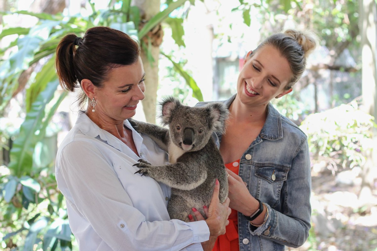 Lone Pine Koala Sanctuary (Brisbane) - All You Need to Know BEFORE ...