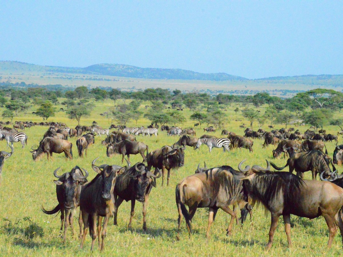 Mbiti Africa Safaris (Nairobi) - All You Need to Know BEFORE You Go