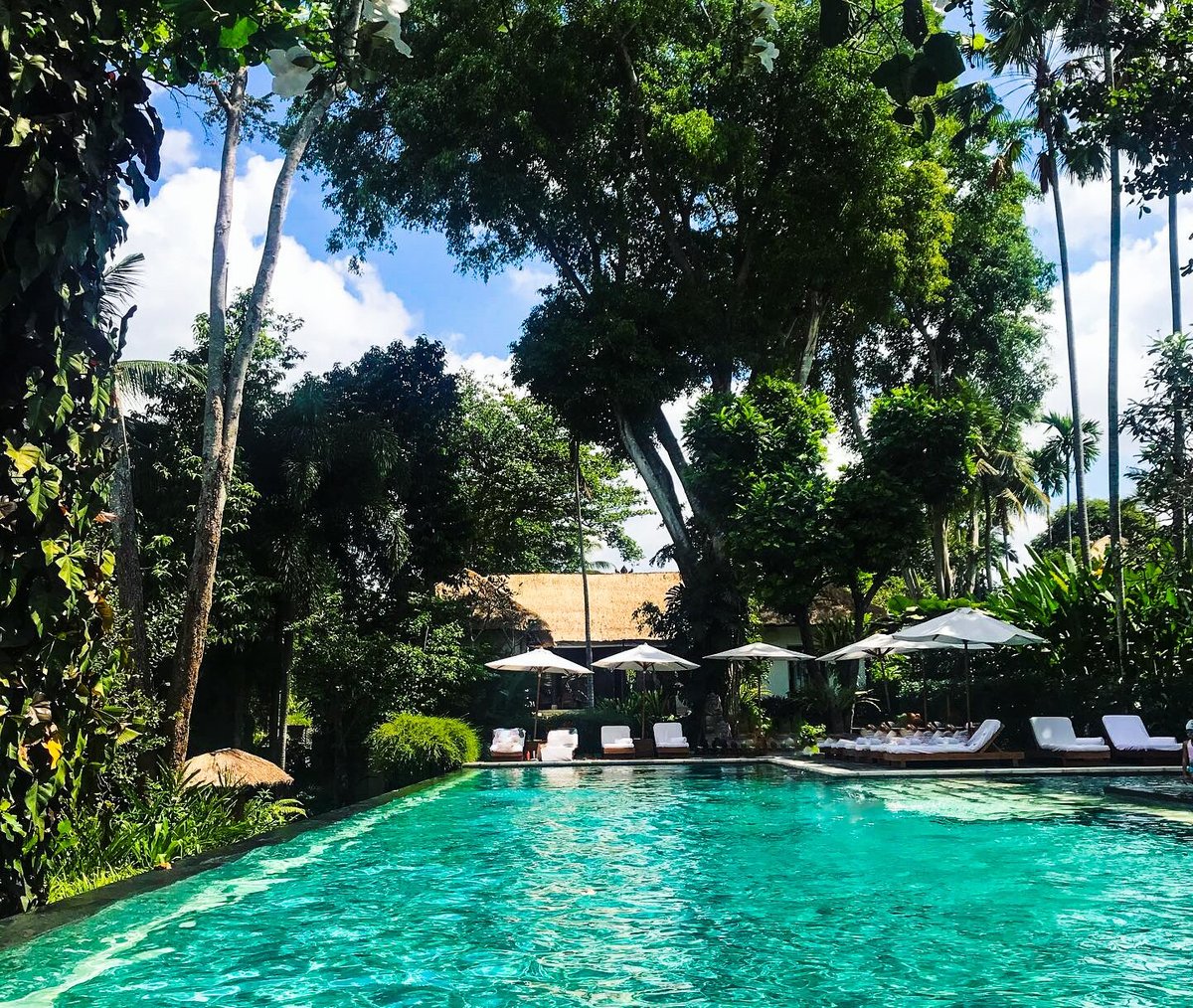 COMO UMA UBUD, BALI - Updated 2022 Prices & Resort Reviews (Kedewatan)