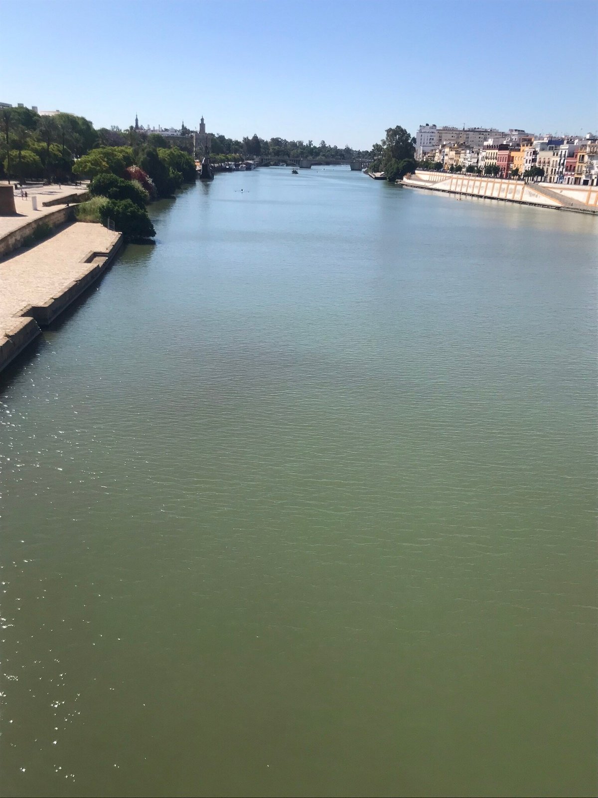 El muelle de la sal sevilla