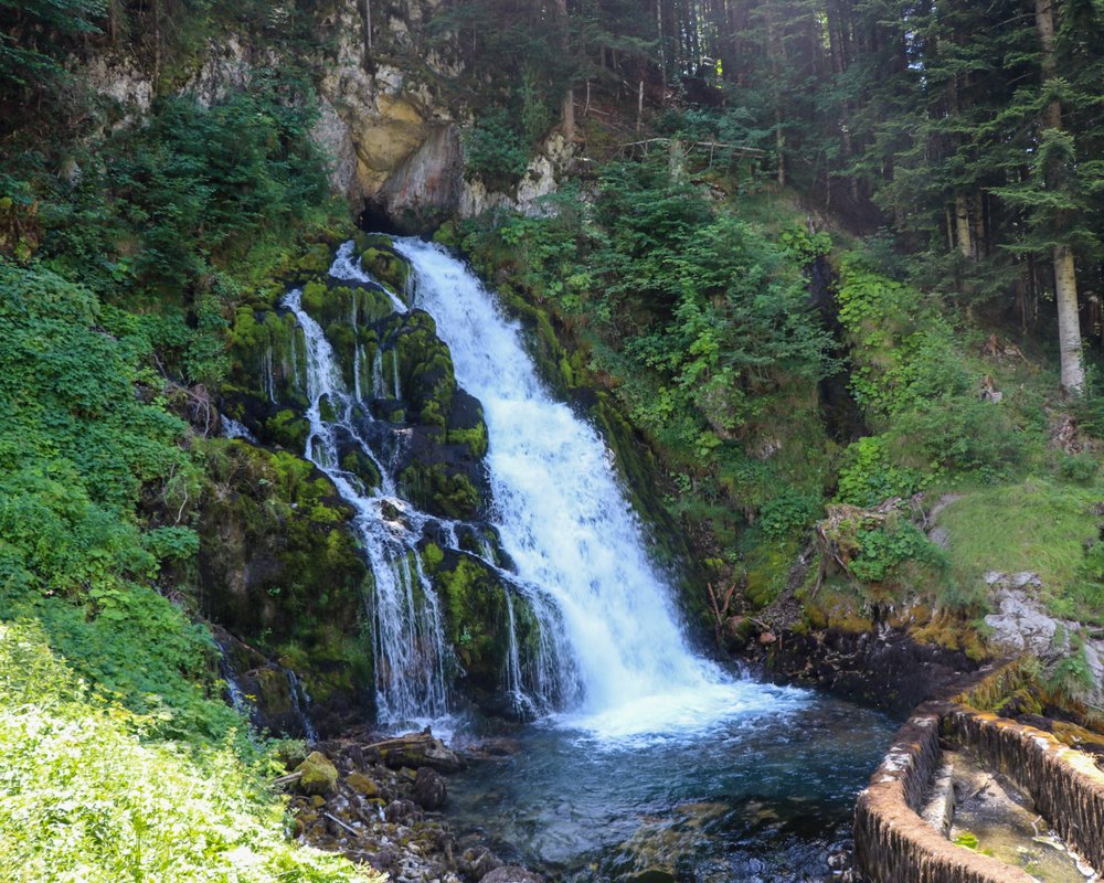 THE BEST Canton of Fribourg Waterfalls (Updated 2024) - Tripadvisor