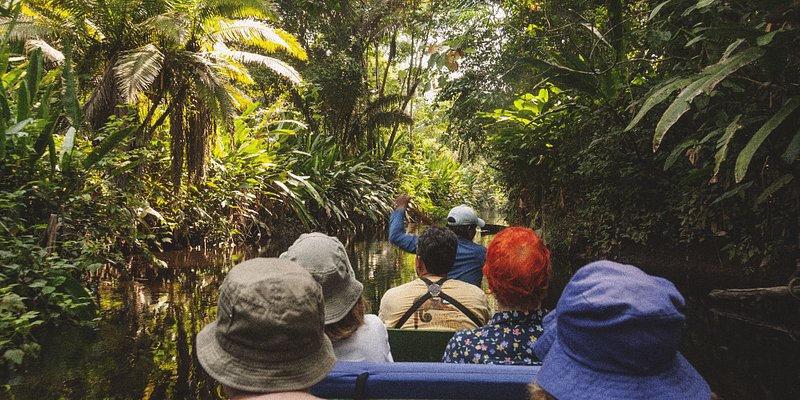 Tour exploring-Amazon-forest by boat