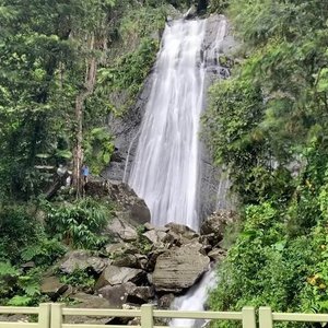 (Private) El Yunque tour - Transportation Included / 7am-12pm or 12pm-5pm