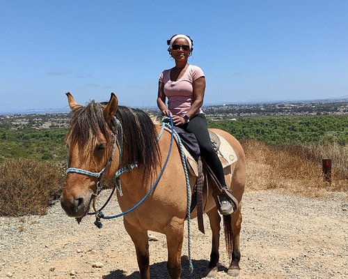 Saiba como são transportados os cavalos para os Jogos