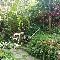 Hunte's Gardens (Saint Joseph Parish) - All You Need to Know BEFORE You Go