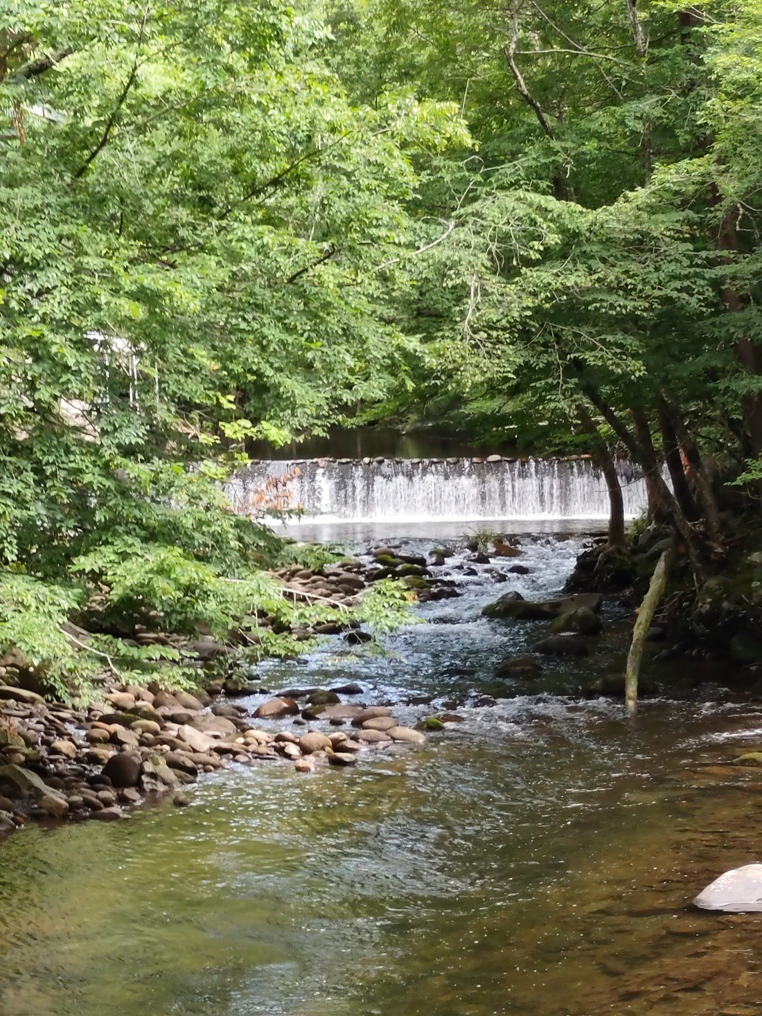 PARK PLACE CONDOMINIUMS - Prices & Condominium Reviews (Gatlinburg, TN) PARK PLACE CONDOMINIUMS - Prices &  Condominium Reviews... 