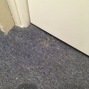 Devant la porte de ma chambre
