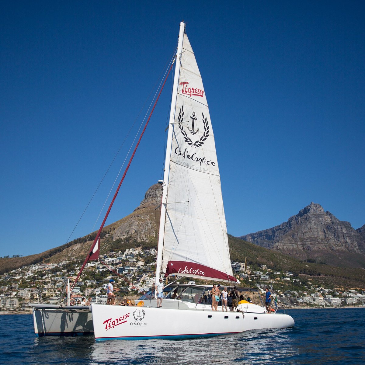 yachting cape town south africa