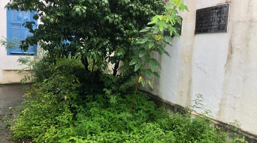 Área de entrada 