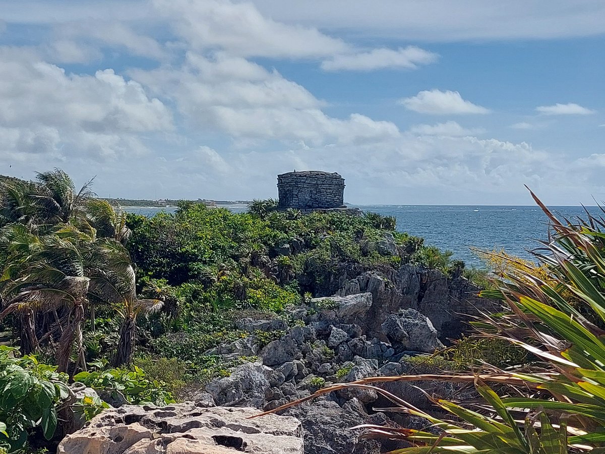 Private tours playa del carmen best way to see cenotes in tulum