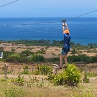 Maui Dragon Fruit Farm (Lahaina) - All You Need to Know BEFORE You Go