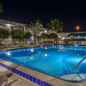Pool Night