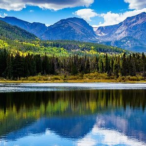 se permiten perros en los parques estatales de colorado