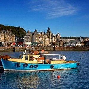 waverley excursions contact number