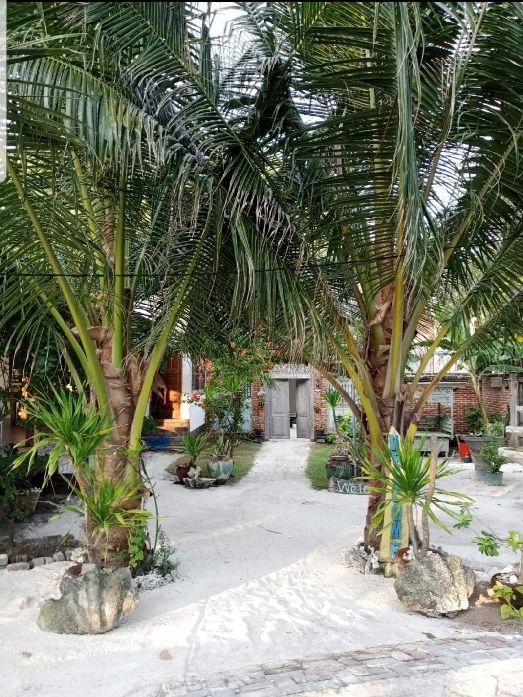 SERENE BEACH VILLA $35 ($̶4̶9̶) - Prices & Reviews - Gili Islands/Gili Trawangan SERENE BEACH VILLA $35 ($̶4̶9̶) - Prices... 