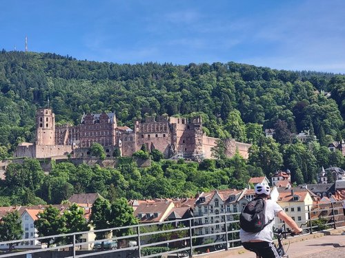 Heidelberg review images