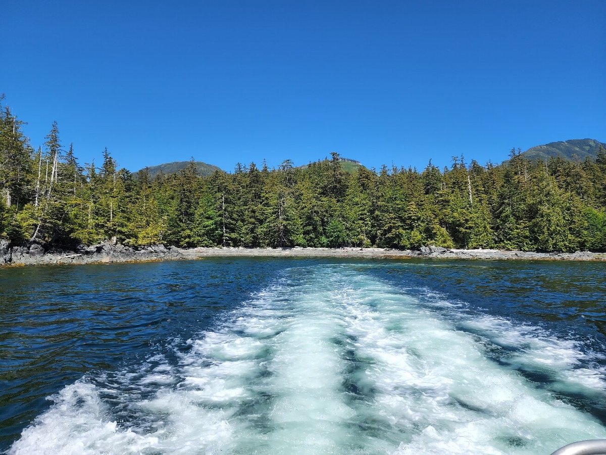 Allen Marine Tours (Ketchikan) - All You Need to Know BEFORE You Go