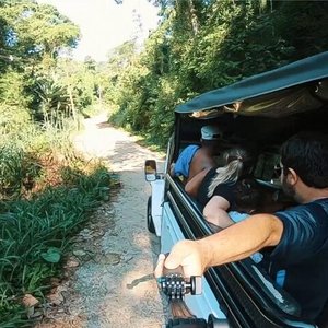 Tripadvisor  Arborismo en el huerto forestal - Campos do Jordão