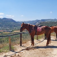 2023 Crete Finikia and Giouchtas Mountains Horse Riding Tour with Lunch