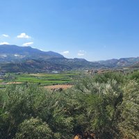 2023 Crete Finikia and Giouchtas Mountains Horse Riding Tour with Lunch