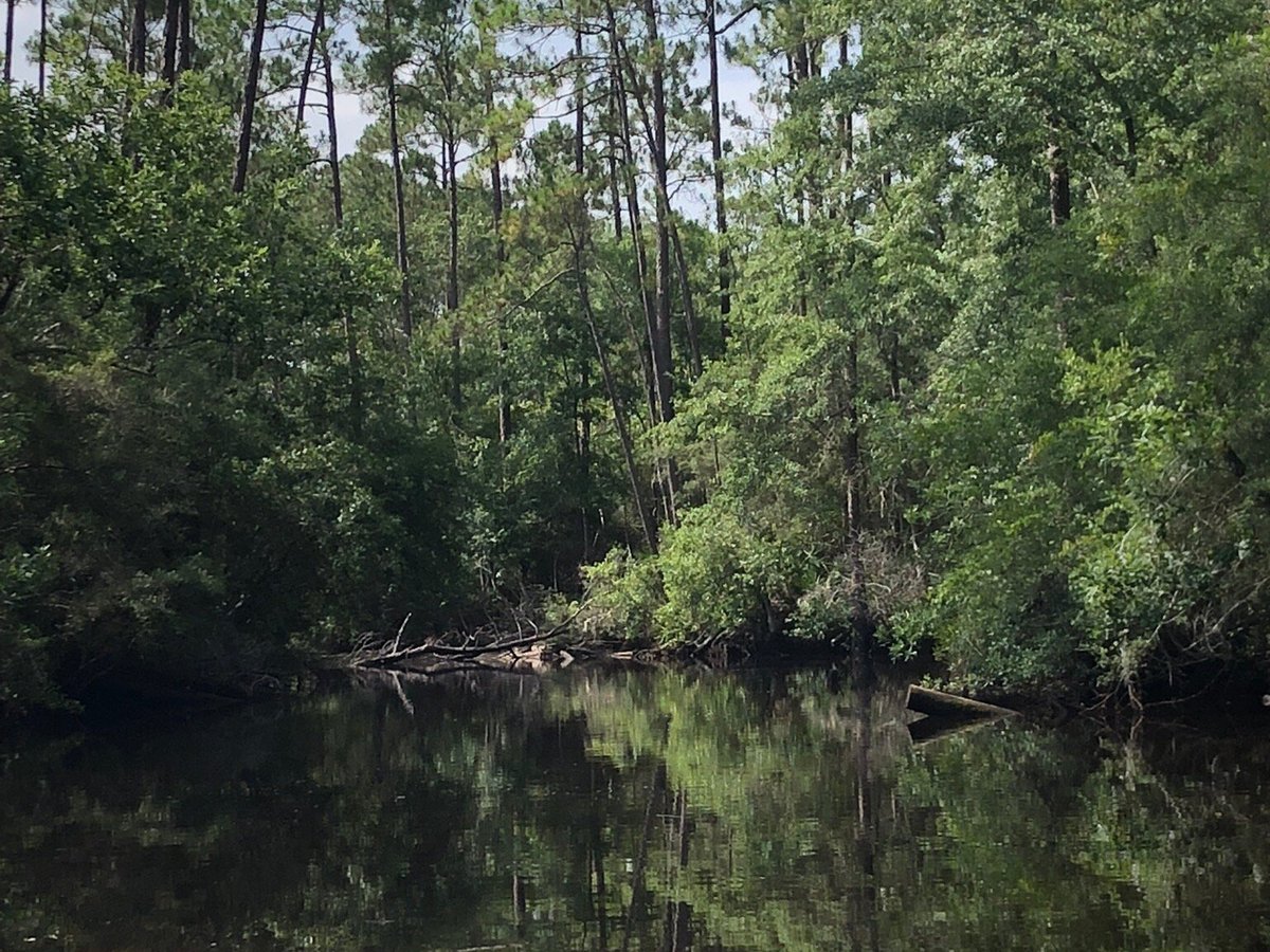 Airboat Adventure (Panama City Beach) - All You Need to Know BEFORE You Go