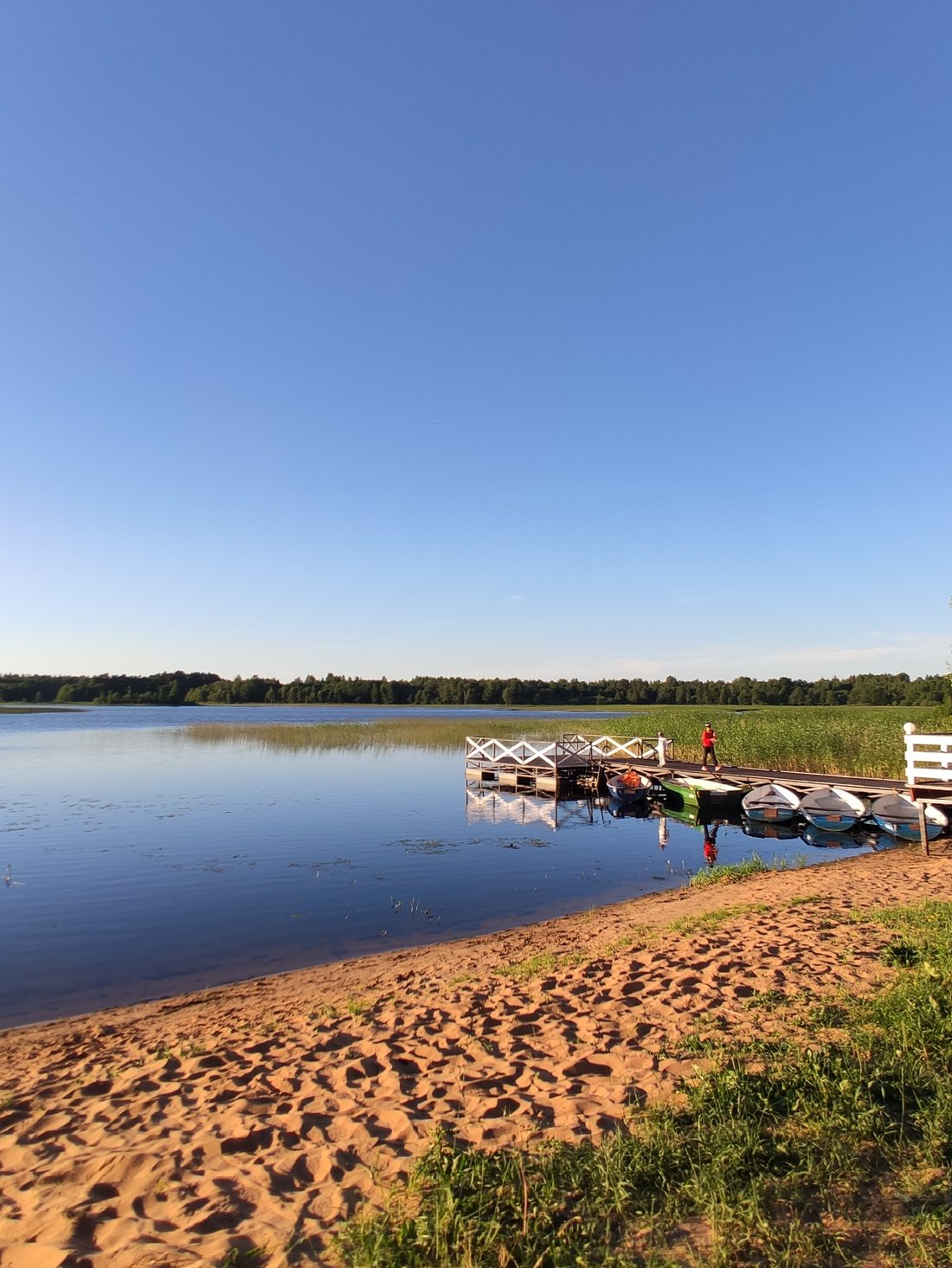 ЭКО-ОТЕЛЬ НОВЫЙ КОВЧЕГ (Городец) - отзывы и фото - Tripadvisor