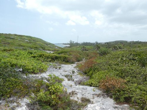 Middle Caicos review images