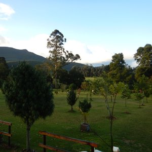 View of the camping sites, looking towards the river
