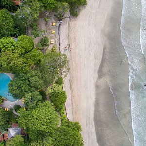 Aerial view of the Hotel and the beach
