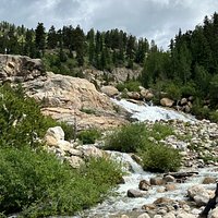 Rocky Mountain National Park in Summer Tour from Denver | CO