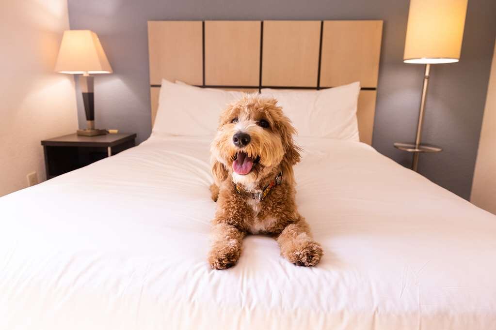 Hotel photo 28 of Sonesta Simply Suites Jersey City.