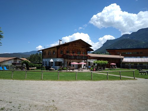 Cavalos Loiros Sorrir Prado Siusi Alpes Trentino Alto Adige Itália