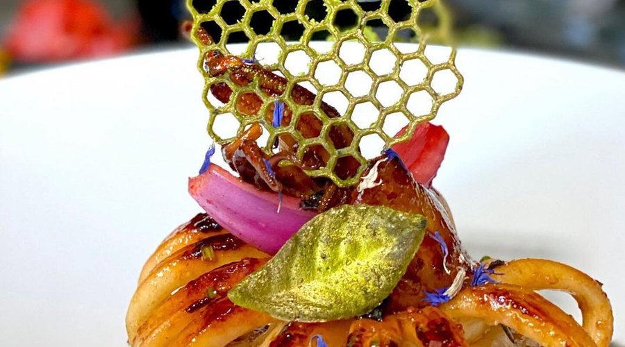 Calamaro Piastrato Koi